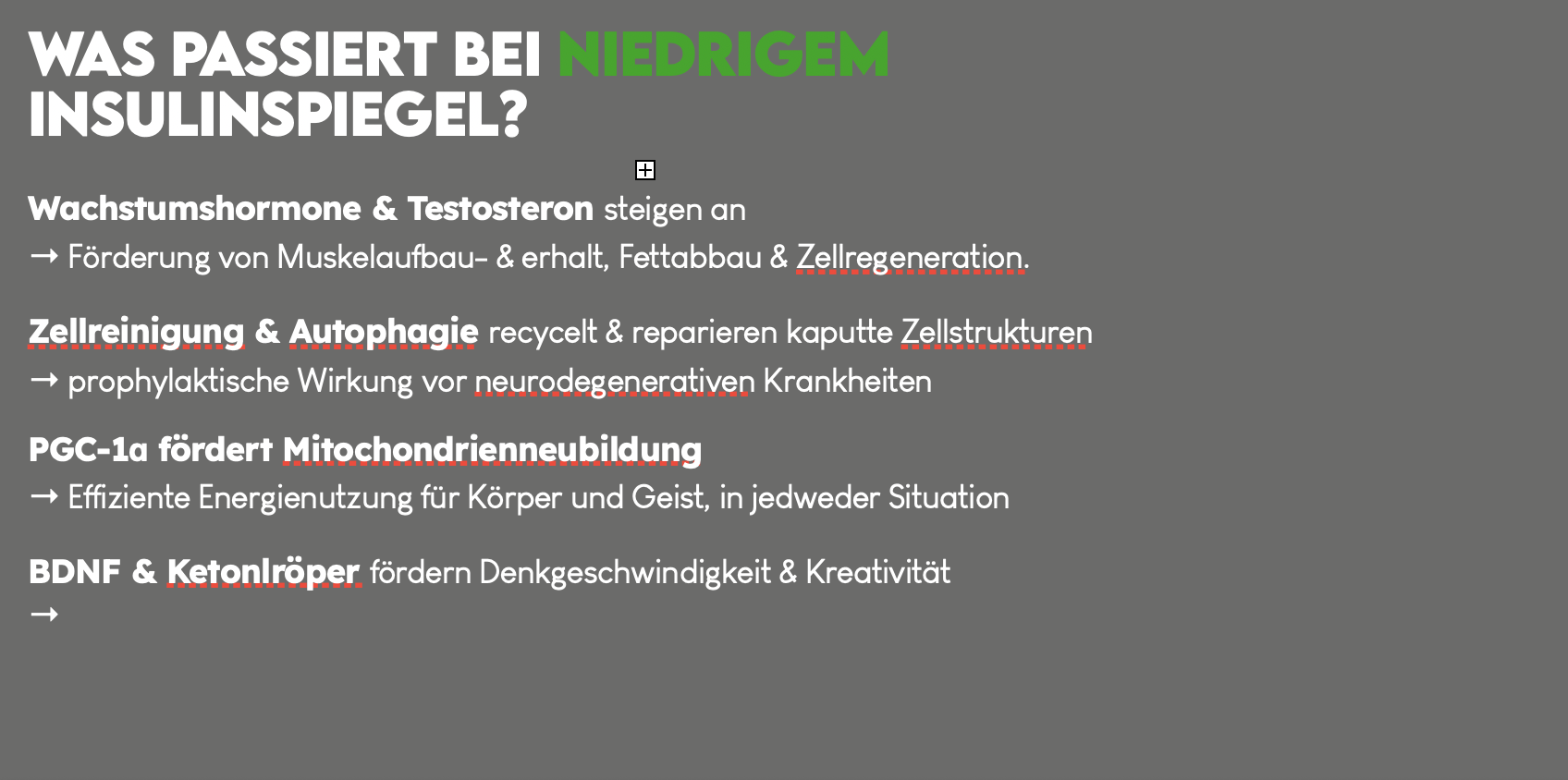 Beschreibung des Bildes